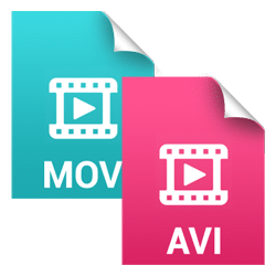 File format AVI or MOV